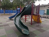 Enlarge photo 62