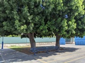 Enlarge photo 78