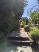 Enlarge photo 51