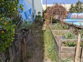 Enlarge photo 38