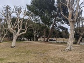 Enlarge photo 46