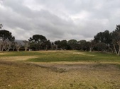 Enlarge photo 49