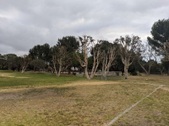 Enlarge photo 51