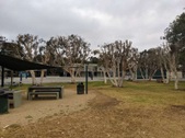 Enlarge photo 55