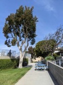 Enlarge photo 42