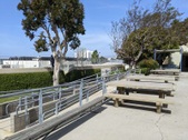 Enlarge photo 43