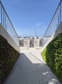 Enlarge photo 47