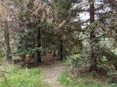 Enlarge photo 9