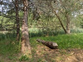 Enlarge photo 12