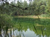 Enlarge photo 15