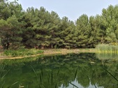 Enlarge photo 17