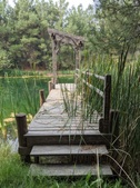 Enlarge photo 23