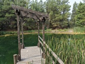 Enlarge photo 25