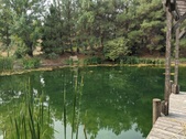 Enlarge photo 26