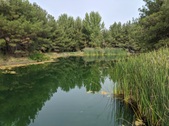 Enlarge photo 28