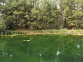 Enlarge photo 29
