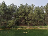 Enlarge photo 30