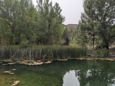 Enlarge photo 32