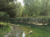 Enlarge photo 33