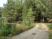 Enlarge photo 35