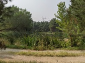Enlarge photo 36