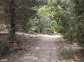 Enlarge photo 37