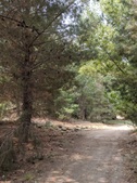 Enlarge photo 38