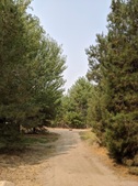 Enlarge photo 39
