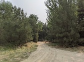 Enlarge photo 40
