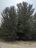 Enlarge photo 41