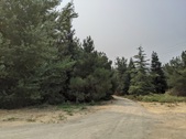 Enlarge photo 42