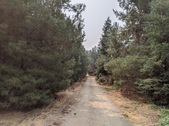 Enlarge photo 43