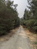 Enlarge photo 44