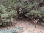 Enlarge photo 45