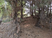 Enlarge photo 46