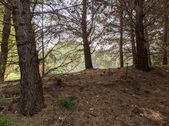 Enlarge photo 47