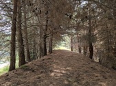 Enlarge photo 48