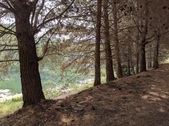 Enlarge photo 49
