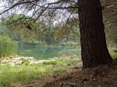 Enlarge photo 50