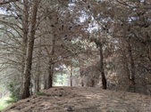 Enlarge photo 51