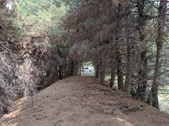 Enlarge photo 52