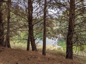 Enlarge photo 53