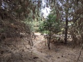 Enlarge photo 54