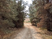 Enlarge photo 55