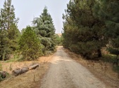 Enlarge photo 56