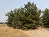 Enlarge photo 58