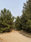 Enlarge photo 59