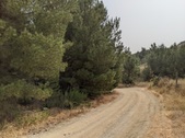 Enlarge photo 60