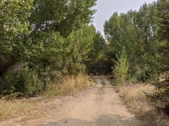 Enlarge photo 61