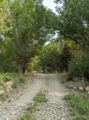 Enlarge photo 62